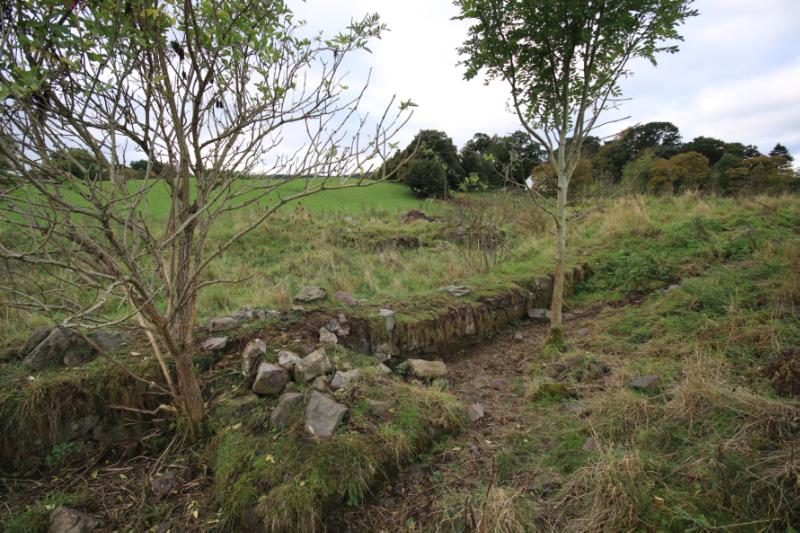 Grange of Elcho nunnery, looking southwest across remains of the church, during daytime, on a cloudy day.