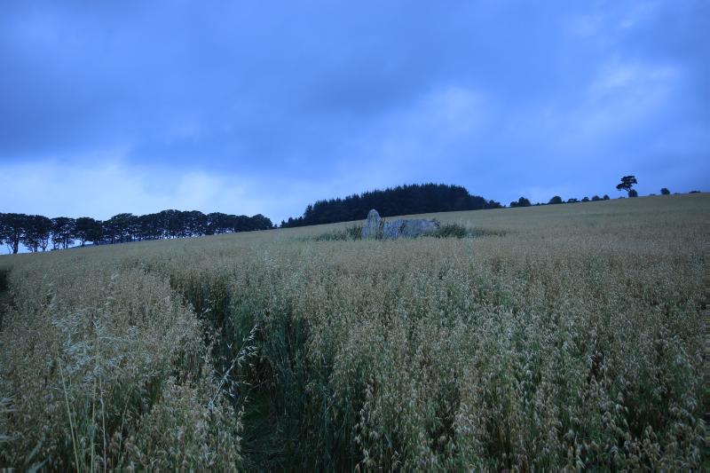 Cairnton, looking northwest, during daytime, on clear day with blue sky.
