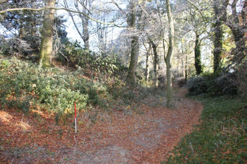 Castleton, motte, looking northeast along the ditch, during daytime, among trees.