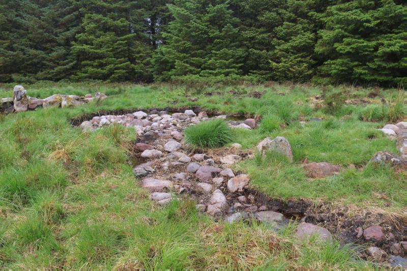 Old Corry, cairns 820m NE of, Isle of Skye, general view of the middle and southern two structures. Excavated structures within forest clearing.  