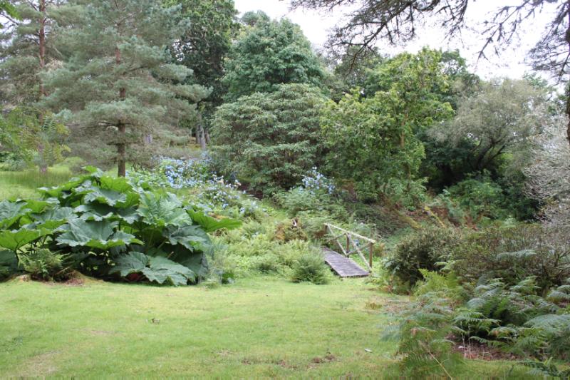 Achnacloich, bog garden, looking southwest, during daytime, on clear day with blue sky. 