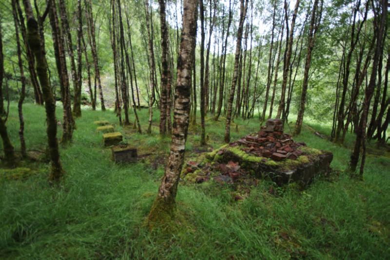 Kinlochleven camp, view of officers mess and kitchen concrete piers and brick fireplace looking north, during daytime, on a cloudy day. 