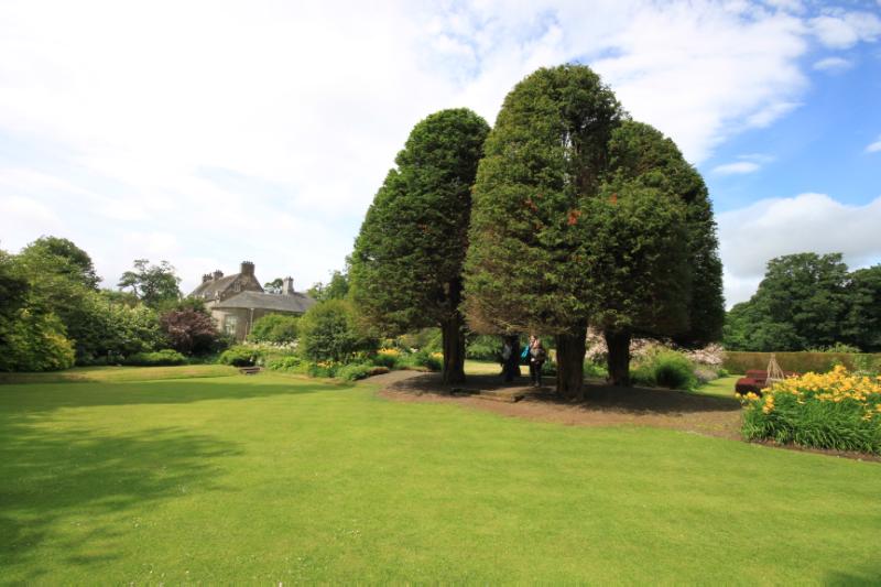 Malleny walled garden, looking south towards the four yew trees with Malleny House in the background, during daytime, on clear day with blue sky and white clouds. 