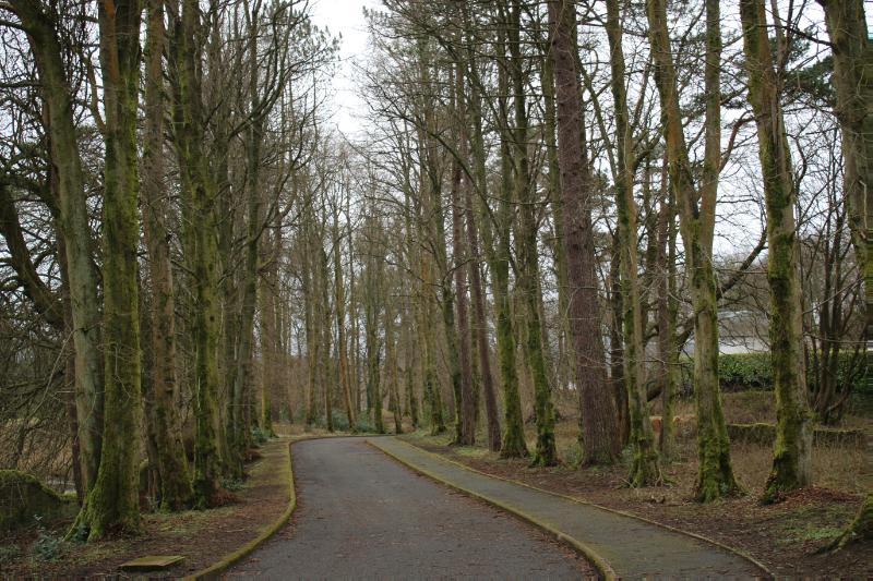 Commissioners’ Walk, looking south, trees to left and right