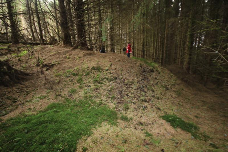 Ardhallow battery and defences, view of blockhouse on TheTom, looking northeast, during daytime, in a wooded area.