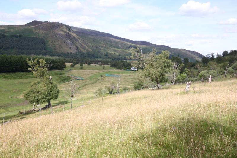 General view of the site from higher ground during daytime.
