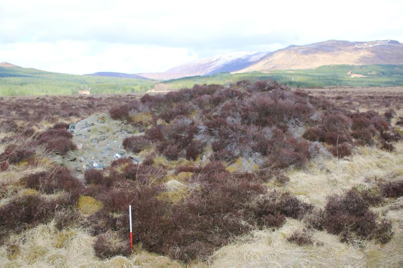 Loch Ailsh, chambered cairn, looking northwest, during daytime.