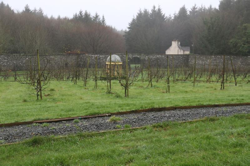 View looking southwest across the Lochnaw Castle walled garden interior and estate cottage beyond, dark green line of trees to background, green orchard rows to foreground.