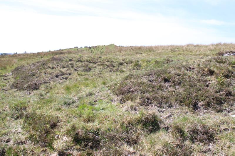 Ashaig, burnt mound, view of open face with bank ends, looking northwest on a clear sunny day