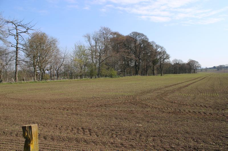 Site of The Welton, palisaded enclosure and unenclosed settlement 295m SW of, looking east on a clear day.