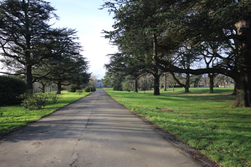 Main (east) avenue to Craigiehall House on a clear day, trees to left and right.