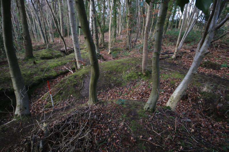 Dreghorn Woods training trenches, northern section with trenches, looking southwest during daytime on a cloudy day. 
