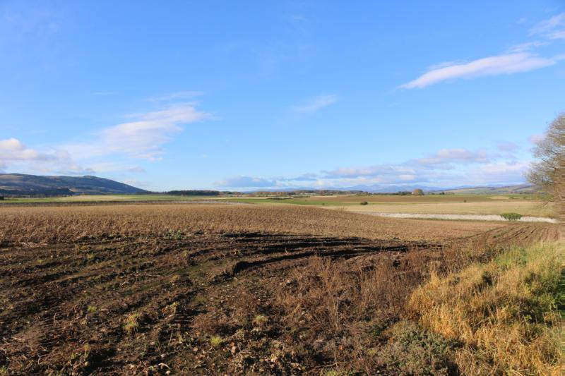 Home Farm, looking west from the location of the moated site towards the location of the roundhouse, during daytime, on a clear day with blue sky. 