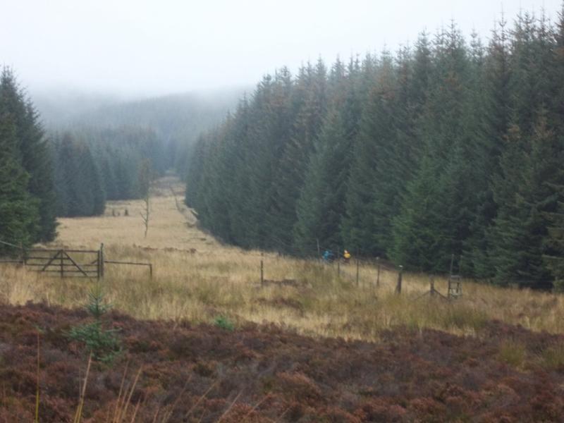 Military road looking northwest