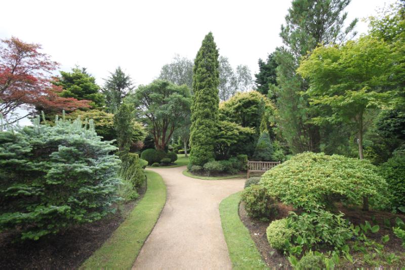  Walled garden, central path lined with shrubs and trees, white sky