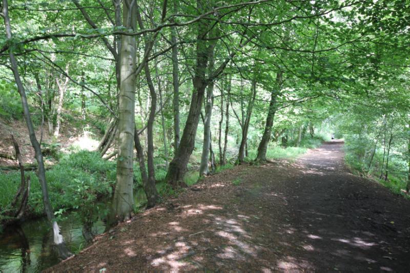 Path along Colzium Lade
