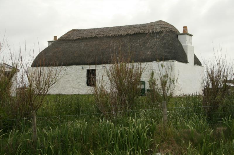 Taigh Violet Rose, rear elevation, looking east, during daytime, with tall grass in front of the building. 
