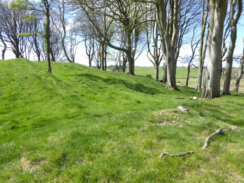 Doon Hill, Twynholm, view to fort interior from outer bank on north side, on a partly cloudy day.