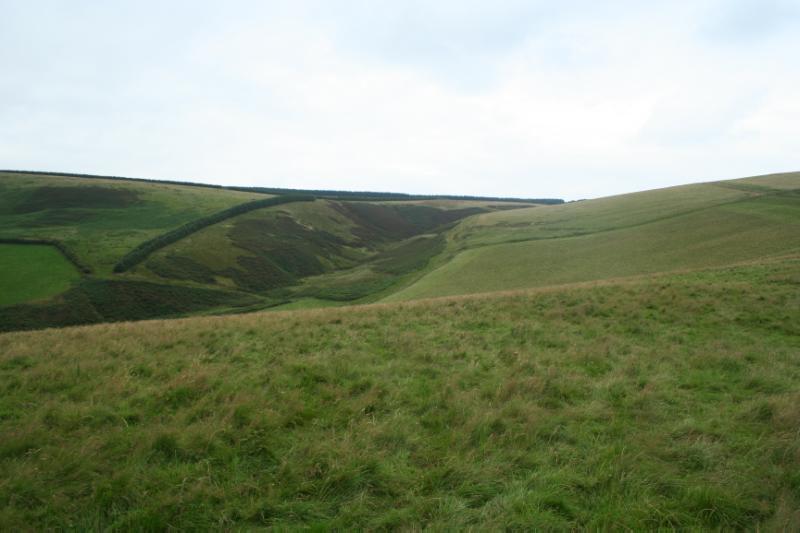 Prehistoric settlement, Andrew’s Wood, view across adjacent valley to west of site, looking north, on a bright, cloudy day.