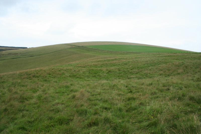 Prehistoric settlement, Andrew’s Wood, looking north across the settlement, represented by depressions in ground, on a bright, cloudy day.