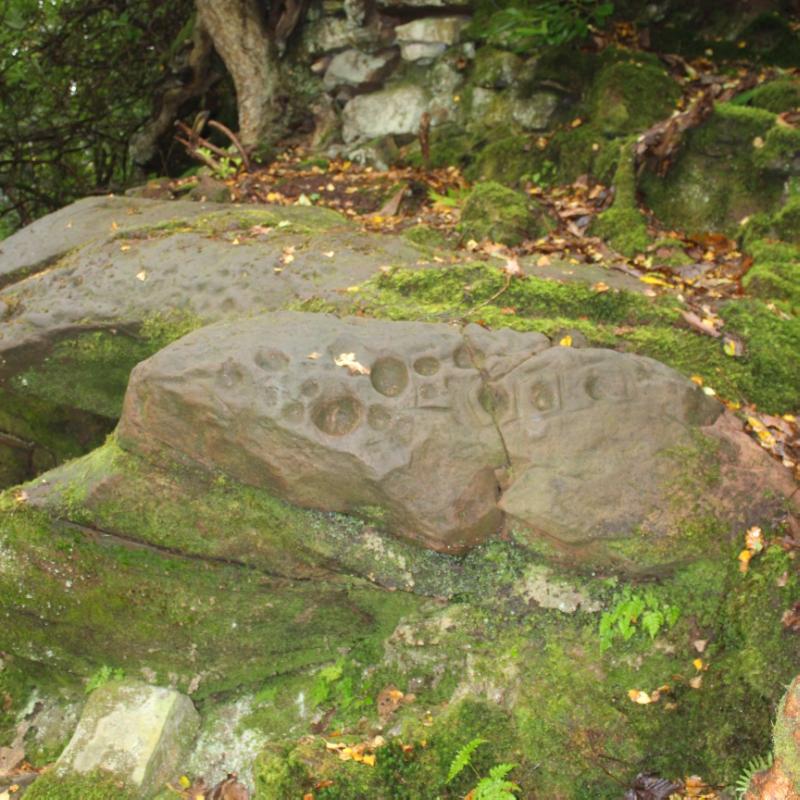 Broch and cup marked rocks, 165m W of Leckie House looking southwest, during daytime, centred on cup marked rocks.