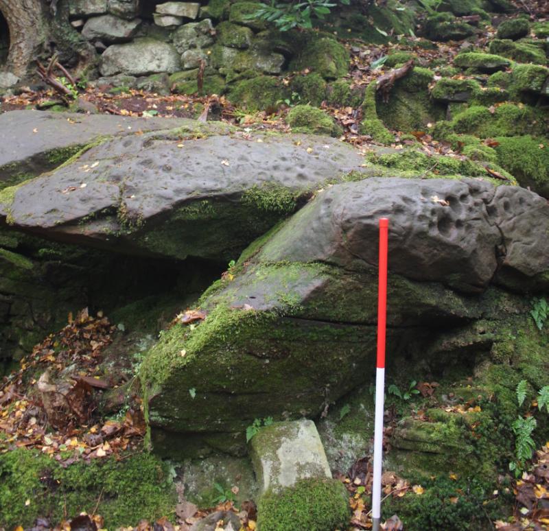 Broch and cup marked rocks, 165m W of Leckie House during daytime, cup marked rocks in foreground and broch in background. 