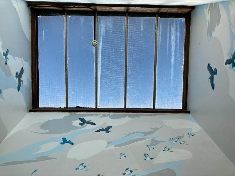 Scottish Wildlife mural, interior view of light well, foyer, Palacerigg Visitor Centre, during daytime with blue sky through visible through the roof light.