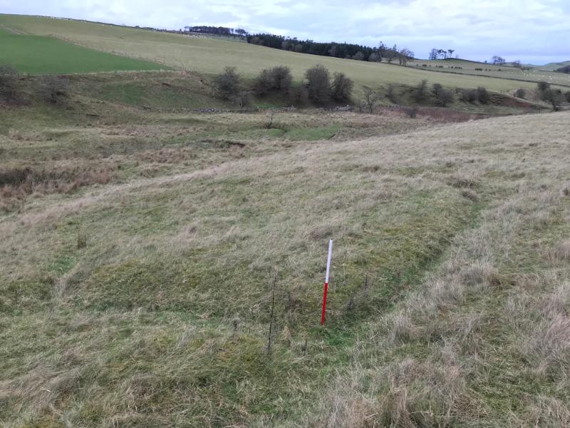 Acreknowe training trenches, view over trench system within the northern group, looking north, on a grey, cloudy day.