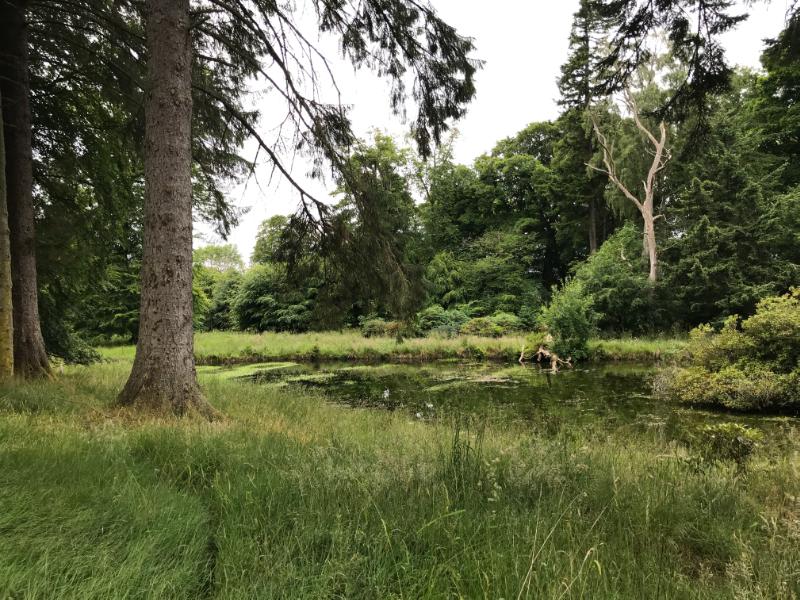 Lower pond, north of Leys Castle terraces, looking west during daytime on an overcast day. 