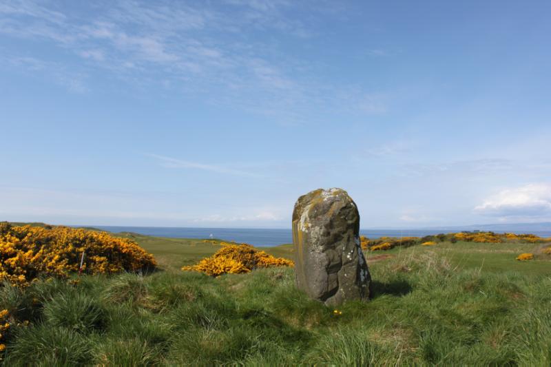 Standing stone, 85m W of Malin Court looking northwest, during daytime, on clear day with blue sky