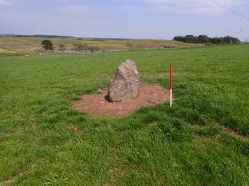 Standing stone, 60m WNW of Ferneybrae Croft, view of standing stone, set in a grassy field on a sunny day. 