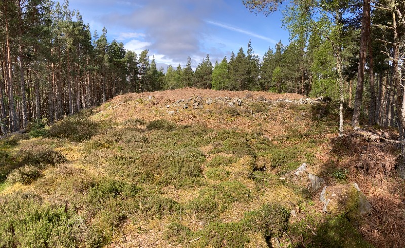 Carn Na Buaile fort, 780m NNW of Comrie looking west on a clear day with blue sky.  